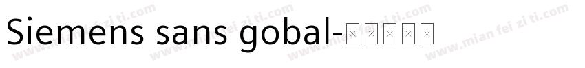 Siemens sans gobal字体转换
